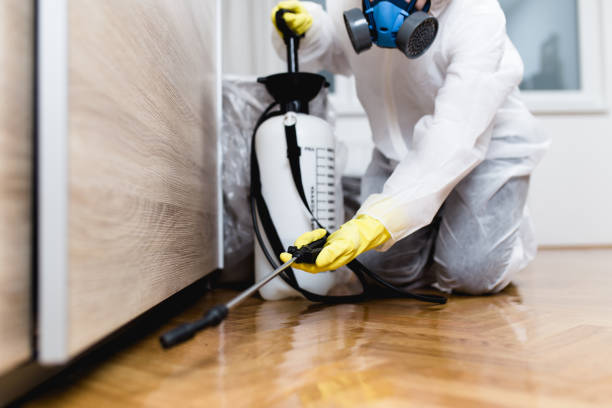 Willows, CA Pest Control Company
