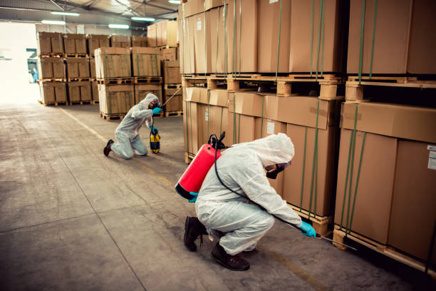 Best Pest Control Near Me in Willows, CA