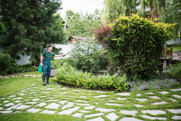 Best Best Pest Control Companies  in Willows, CA