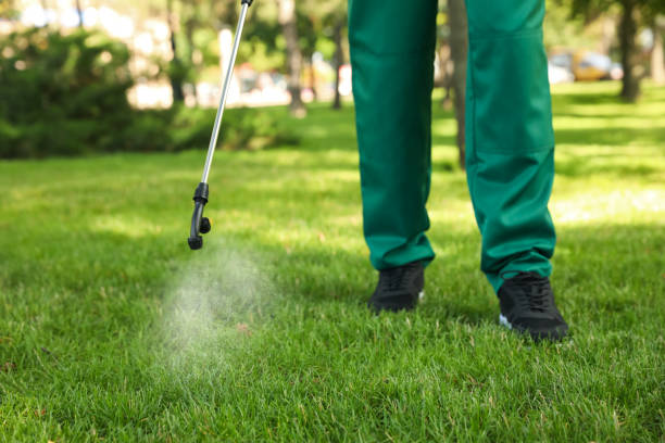 Best Pest Removal Services  in Willows, CA