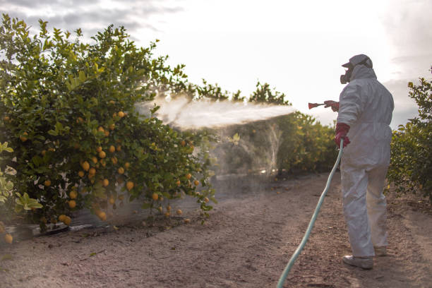 Wildlife Control Services in Willows, CA