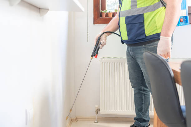 Best Flea Control Services  in Willows, CA